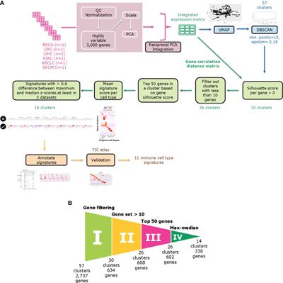 Immune cell type signature discovery and random forest classification for analysis of single cell gene expression datasets